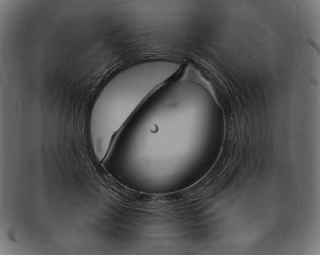 X0000091850604200709191058