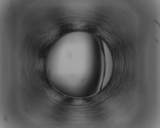 X0000091850605200709191058