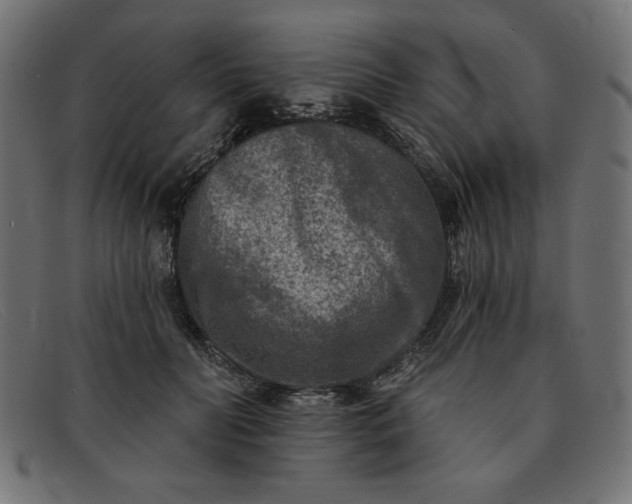 X0000091850606200709191058