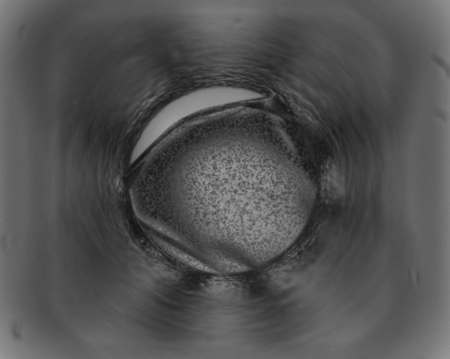 X0000091850608200709191058