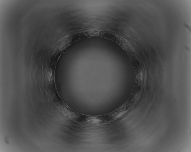 X0000091850610200709191058