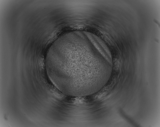 X0000091850612200709191058