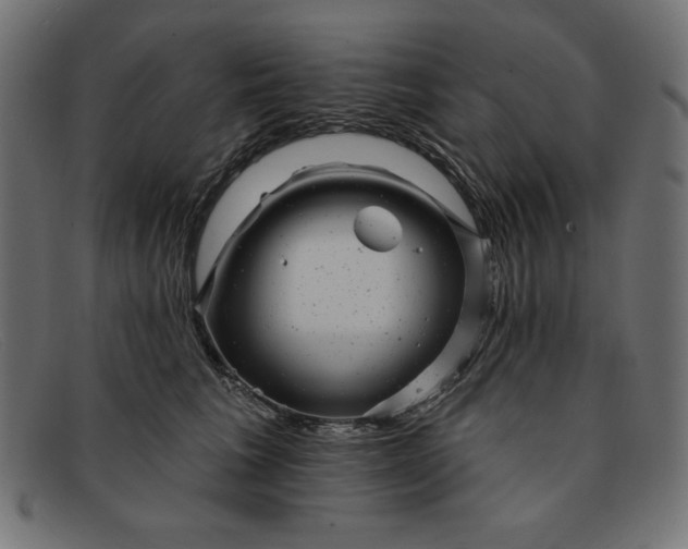 X0000091850613200709191058