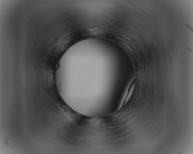 X0000091850615200709191058