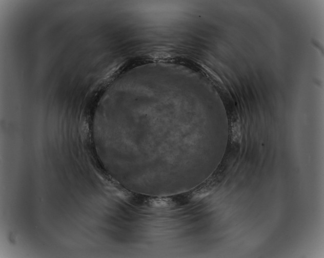 X0000091850618200709191058