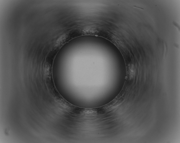 X0000091850619200709191058