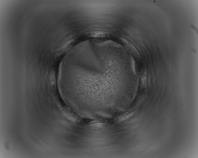 X0000091850620200709191058
