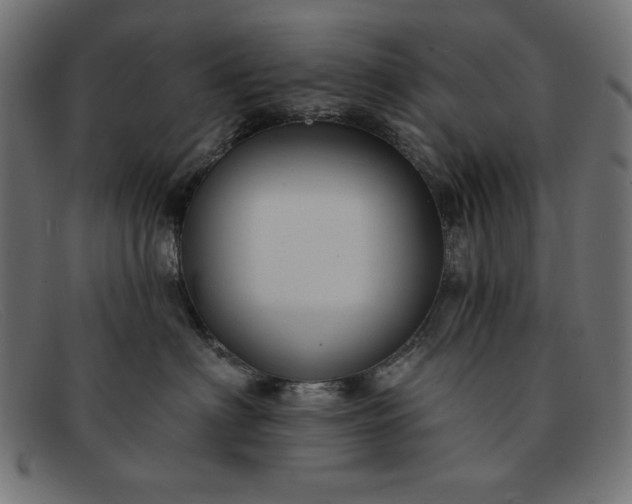 X0000091850622200709191058