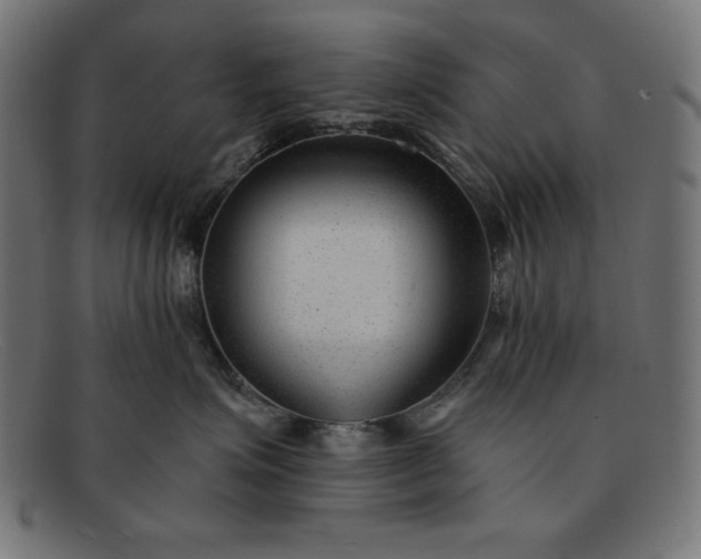 X0000091850623200709191058