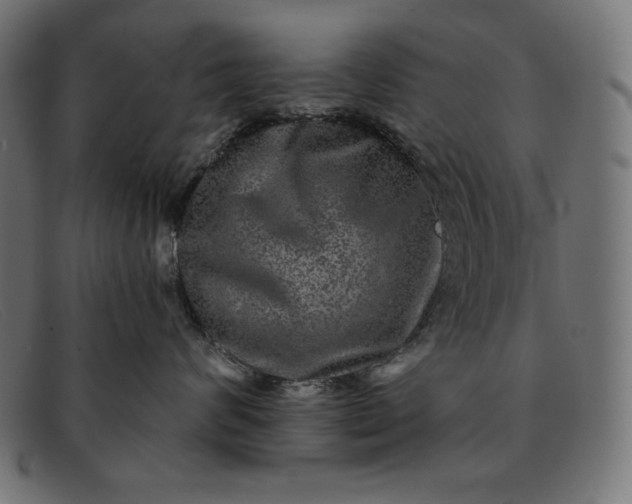 X0000091850624200709191058