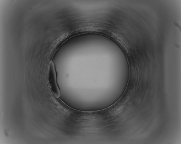 X0000091850625200709191057