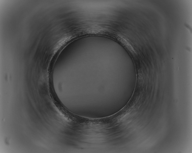 X0000091850626200709191057