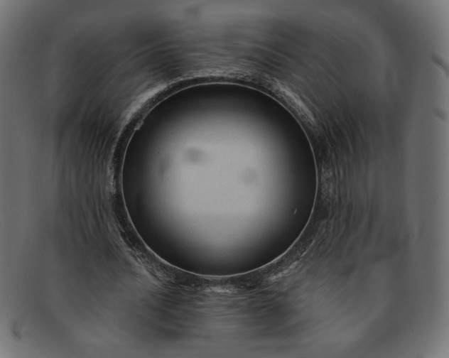 X0000091850628200709191057