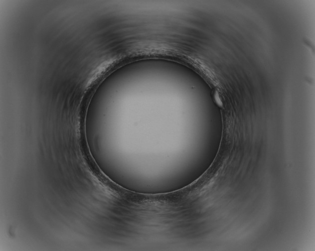 X0000091850629200709191057