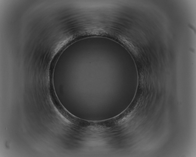 X0000091850630200709191057