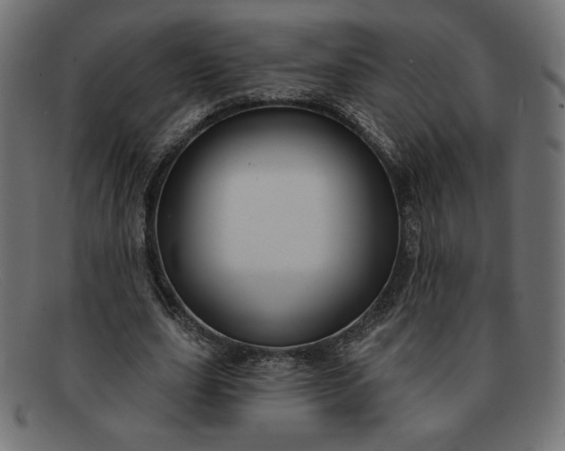 X0000091850631200709191057