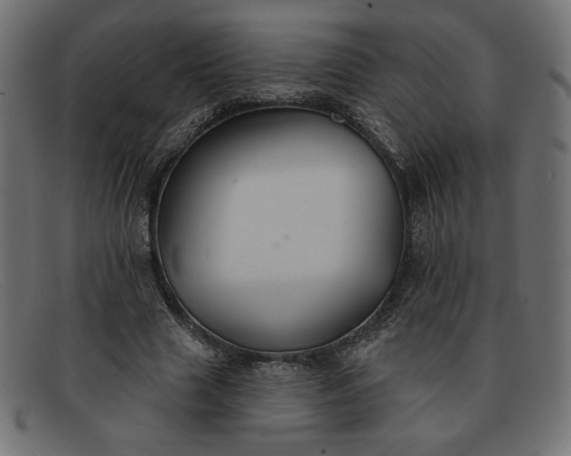 X0000091850633200709191057