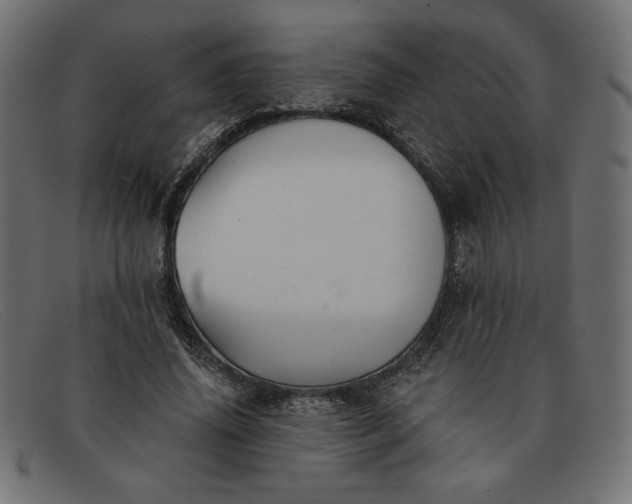 X0000091850636200709191057