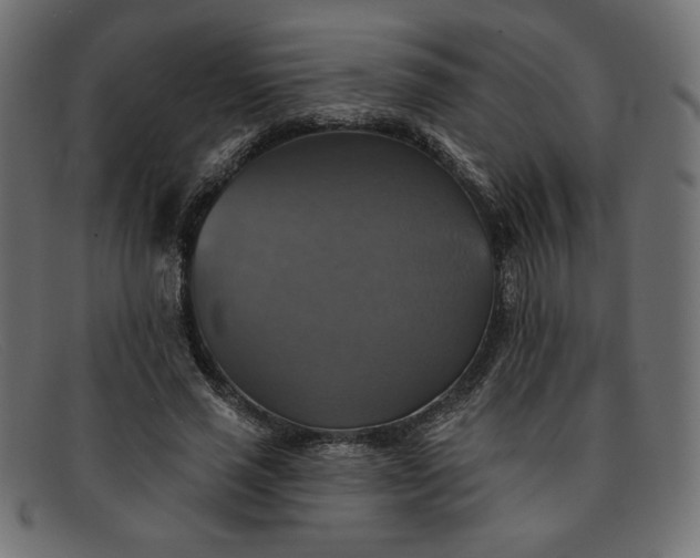 X0000091850637200709191057
