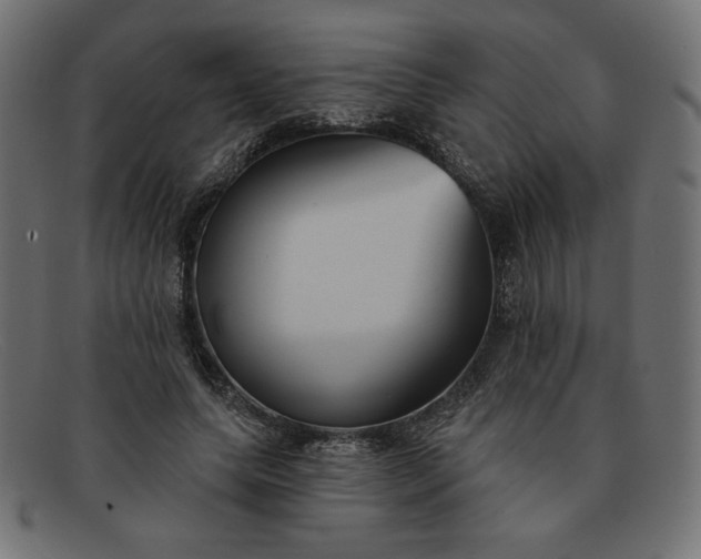 X0000091850639200709191057