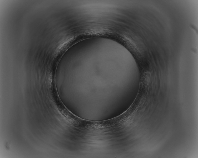 X0000091850640200709191057