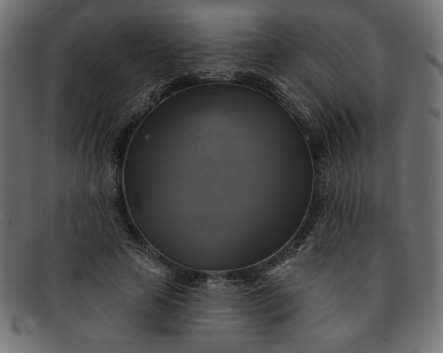 X0000091850641200709191057