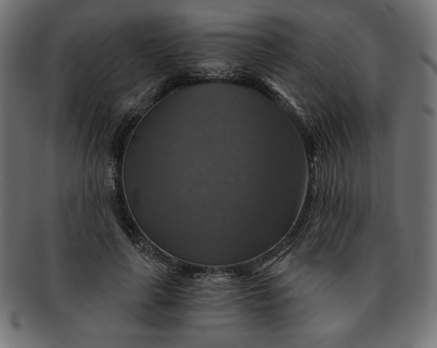 X0000091850643200709191057
