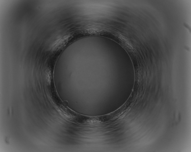 X0000091850644200709191057