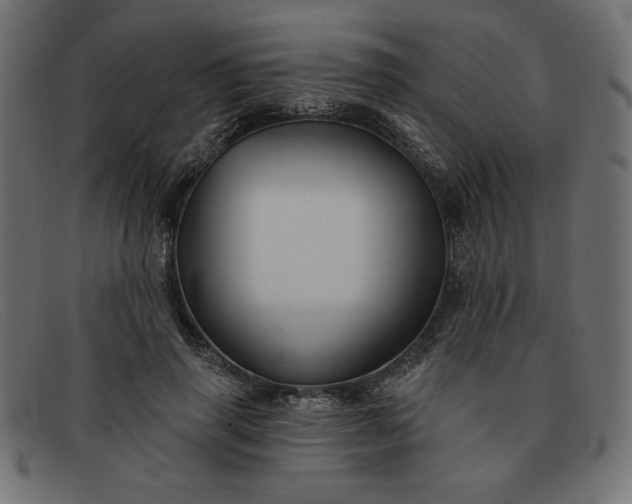 X0000091850645200709191057