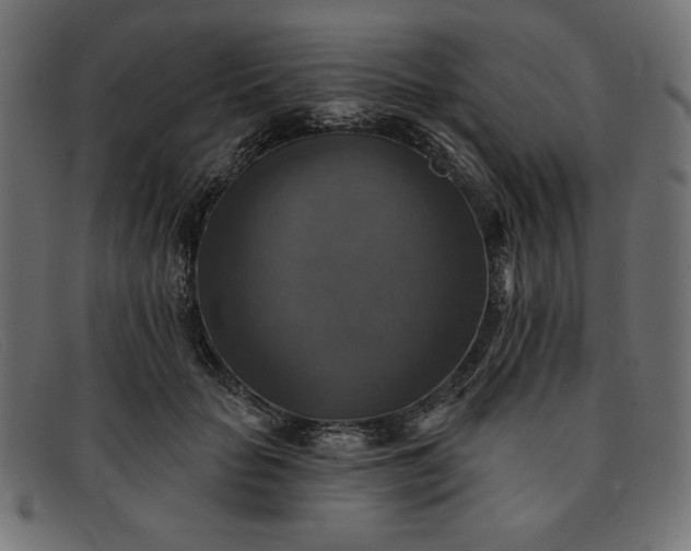 X0000091850653200709191057