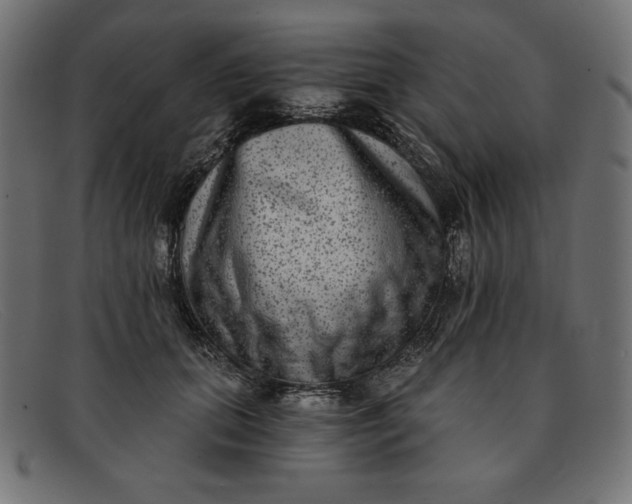 X0000091850655200709191057