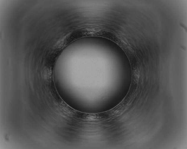 X0000091850657200709191057