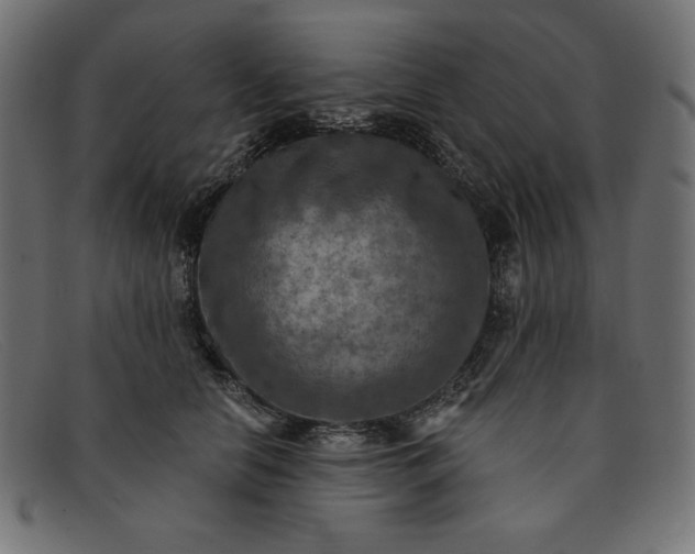 X0000091850658200709191057