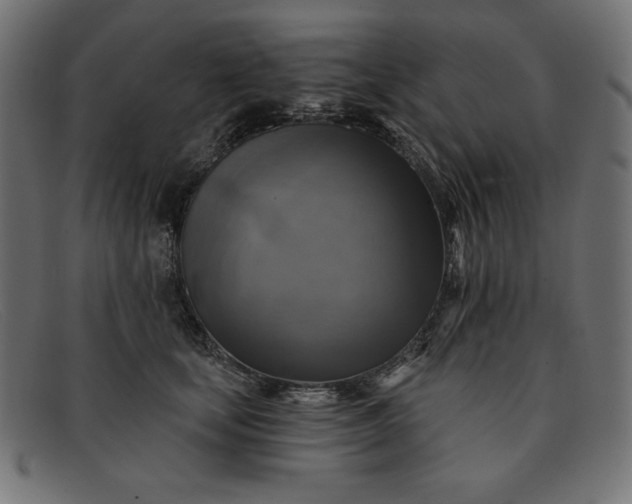 X0000091850659200709191057