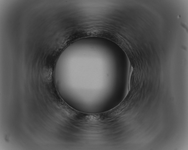 X0000091850660200709191057