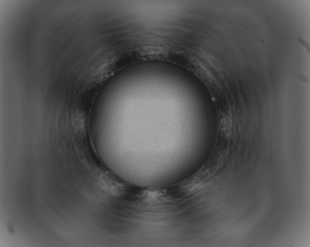 X0000091850662200709191057