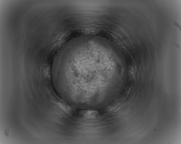 X0000091850663200709191058