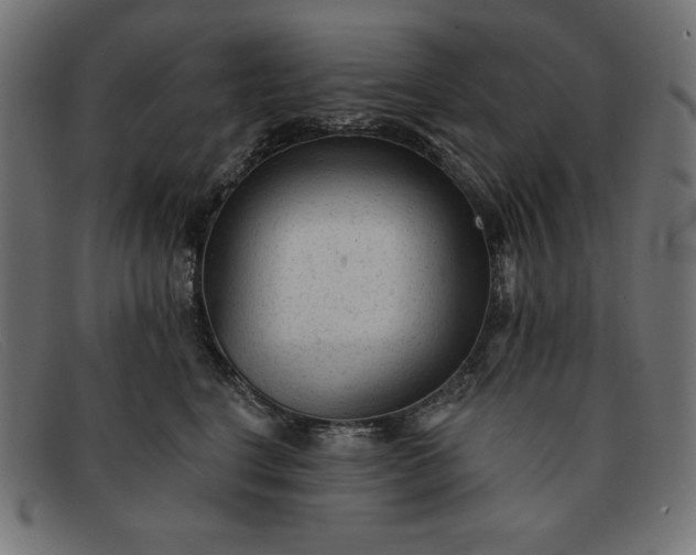 X0000091850664200709191058