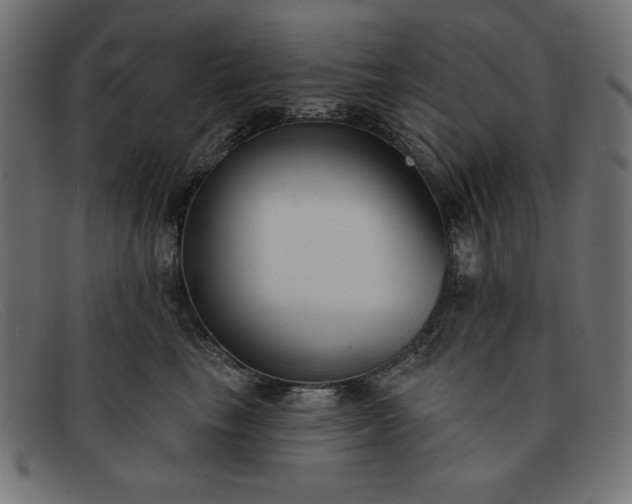 X0000091850665200709191058