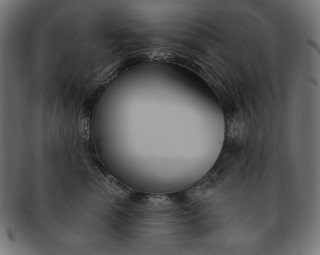 X0000091850666200709191058