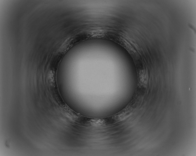 X0000091850667200709191058