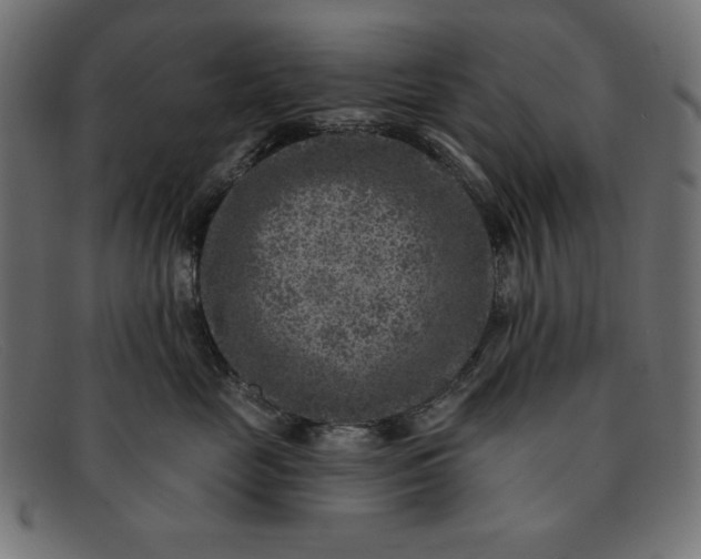 X0000091850669200709191058