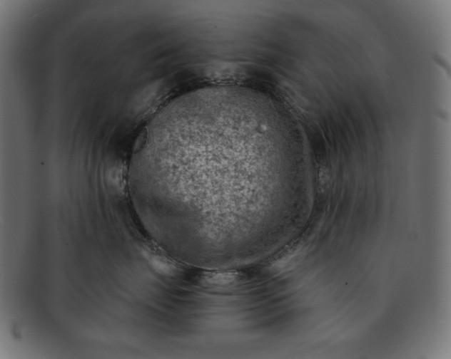 X0000091850671200709191058