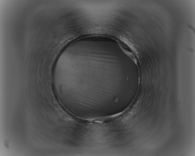 X0000091850673200709191057