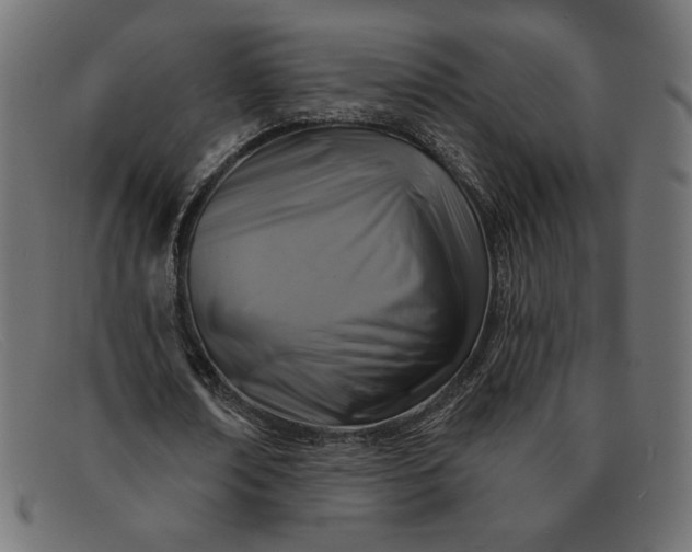 X0000091850674200709191057