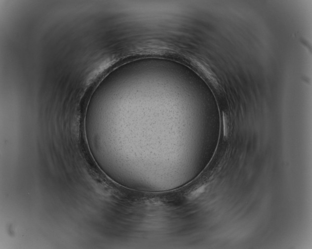 X0000091850675200709191057