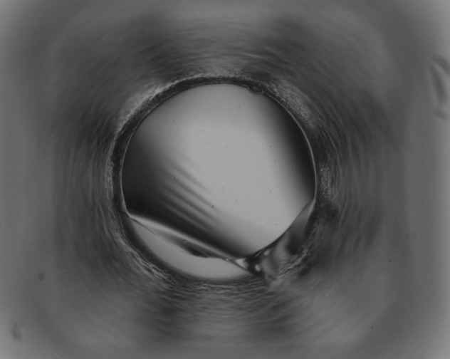 X0000091850676200709191057