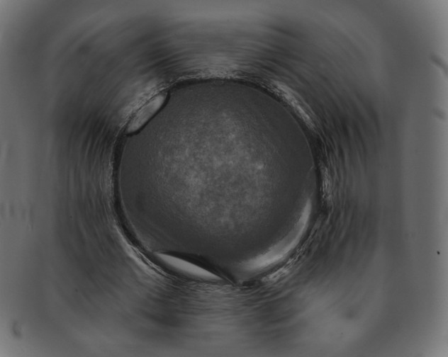 X0000091850677200709191057