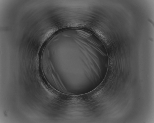 X0000091850678200709191057