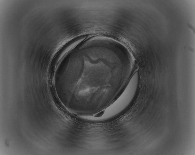 X0000091850680200709191057